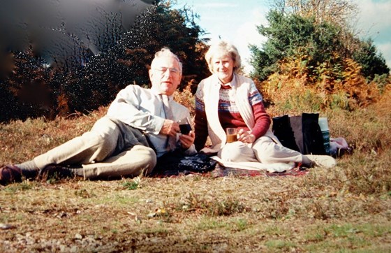 New Forest picnic