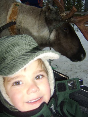 Reindeer ride, lapland 2007