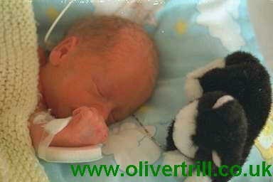 Oliver Day 3