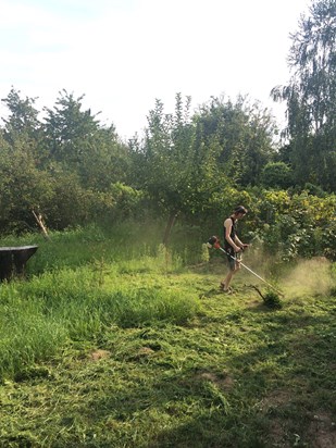Janos cutting the grass in Vasarhely