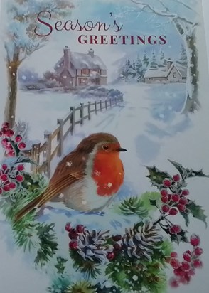 In Memory of a Fun Lady who Loved Christmas & Robins. 