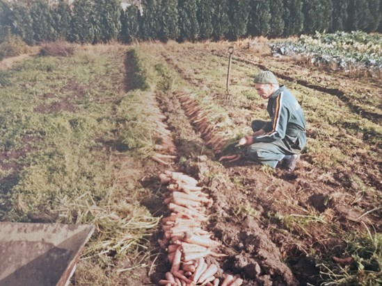 In the allotment 