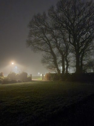 Sam's atmospheric picture of Yelverton fog.