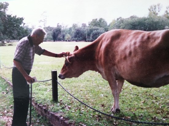 Farm in South Carolina, 2000