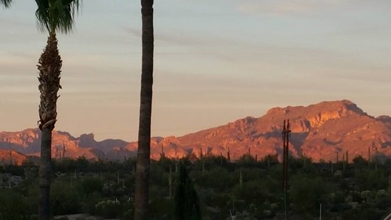 Their view from their house in Arizona