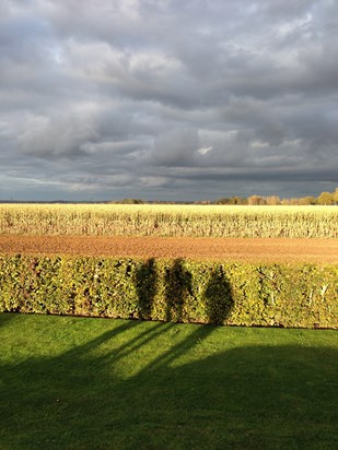 2014 WW1 Battlefields. Shadows