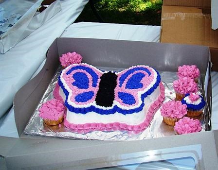 Cake at Butterfly Release