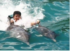 Swimming with dolphins 2001