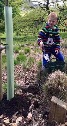Oliver planting Daddy's tree