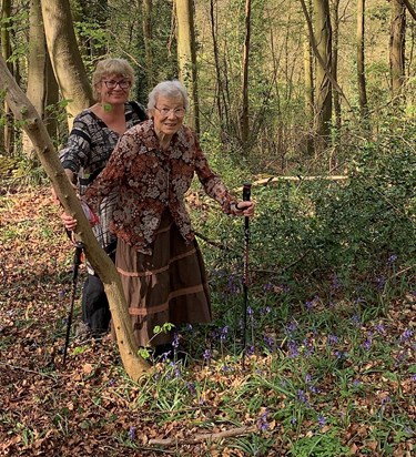 Cotswolds Bluebell walk 2019 