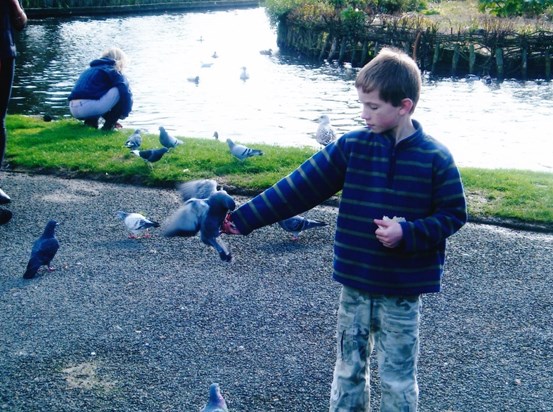 Feeding the birds 