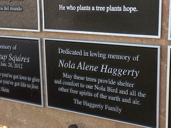 Dedicated in Loving Memory of Nola Alene Haggerty