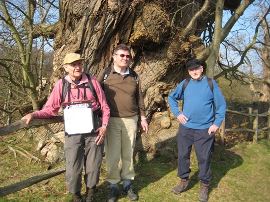 Ron, Den. Bob and a big tree somewhere near Petworth. 
