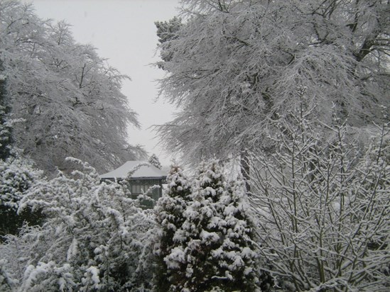 mums house snow