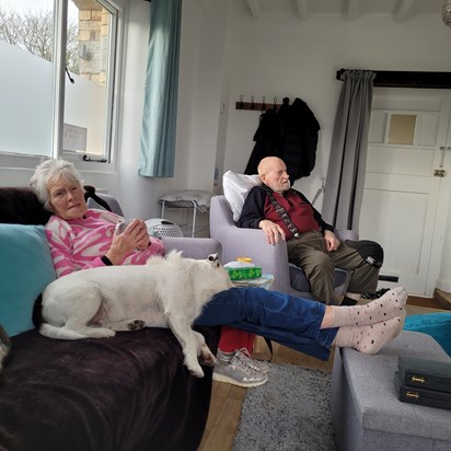 Resting after a day out in Devon March 2024 