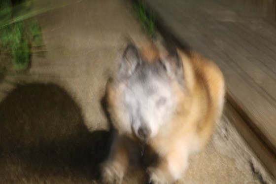 blurry bindie pt 1