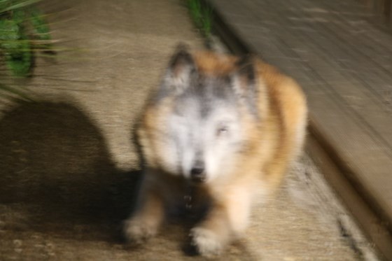 blurry bindie pt 3