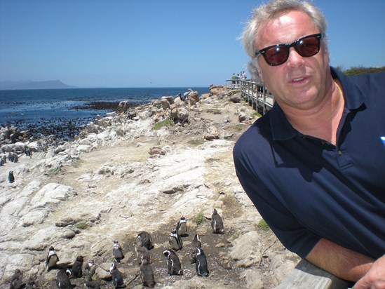 with his pikkewyns at the penguin sanctuary cape town