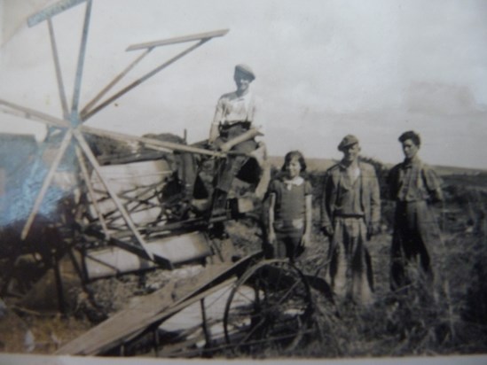Harvesting 1940