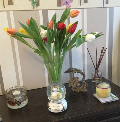 Tulips for your Birthday Mum x