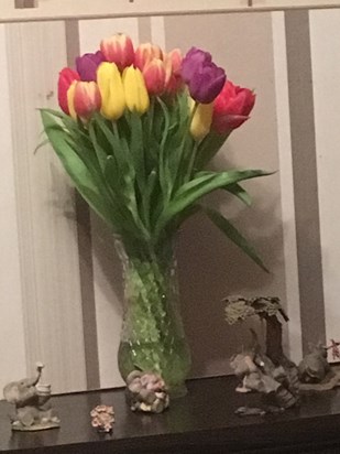 Tulips from Dad xx
