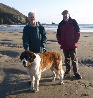 Cornwall Jan08 with Bailey the St Bernard 