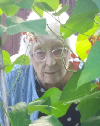 Mum amongst the kidney beans ... 17.08.19