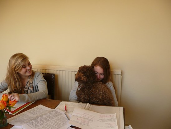 Helen studying with Julia and Luna!