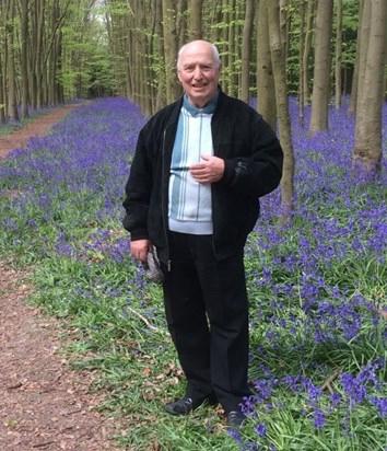 Dad in Bluebell Wood