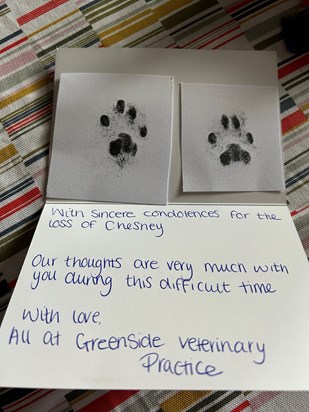 Your paw print and card from the vets 