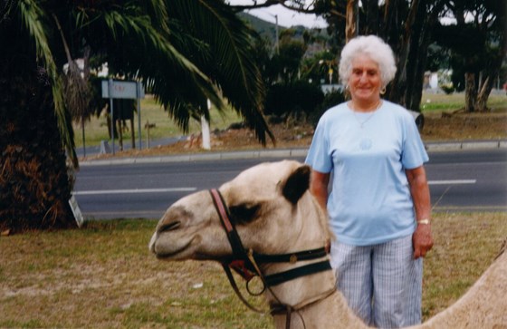 Gran wanting to ride camel. Cape Town. South Africa 2004