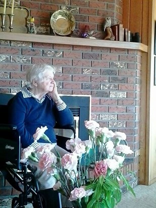 Gran loved the view from the living room