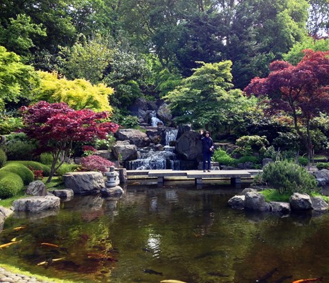 2015 Emmy in Kyoto Garden Holland Park