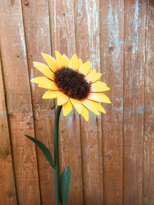 A sunflower for a sunny man