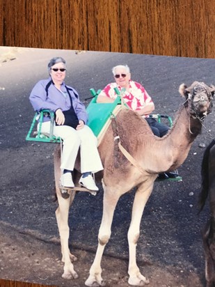 Tenerife Camel ride