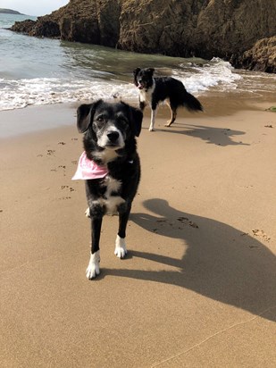 Fun on the beach with Louie Bear xx