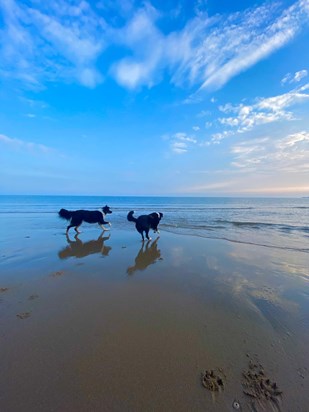 Happy times with Louie on the beach xxxx