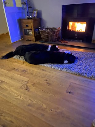 Sleeps in front of the fire, you finally shared the rug with Louie xxxx💕💕💕