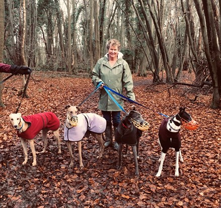 Walking the Dunrunnin hounds in the woods