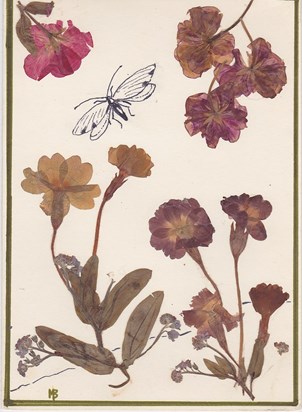 A pressed flower compilation together with pen and ink, birthday card by Peggy
