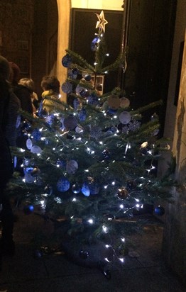 Memorial Tree 2015 - St Pauls. Knightsbridge