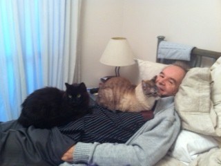 Papai com os gatos em casa