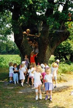 Mum up a tree with the schoolchildren approx 1992