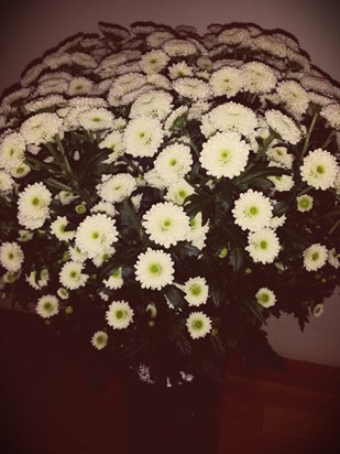 Santini Chrysanthemums for Roo's funeral