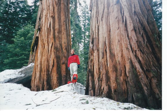 Dave Snowshoeing in Sequoia, 1998