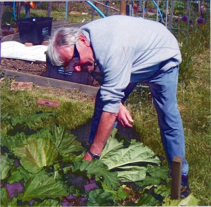 2018 at the Cookham community allotment