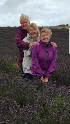 Ladies in Lavender …. August 2017
