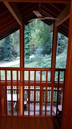 The view from our golden oak cabin