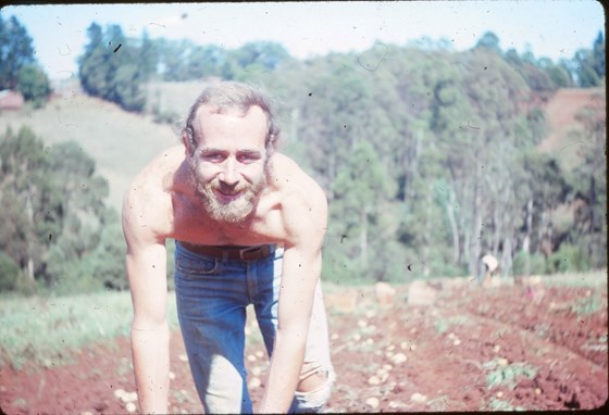 c1973 Kevin Potato picking on Tungarra Farm, Australia