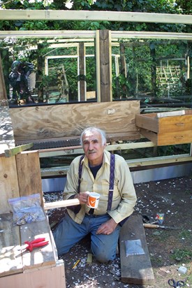 Building the chicken house